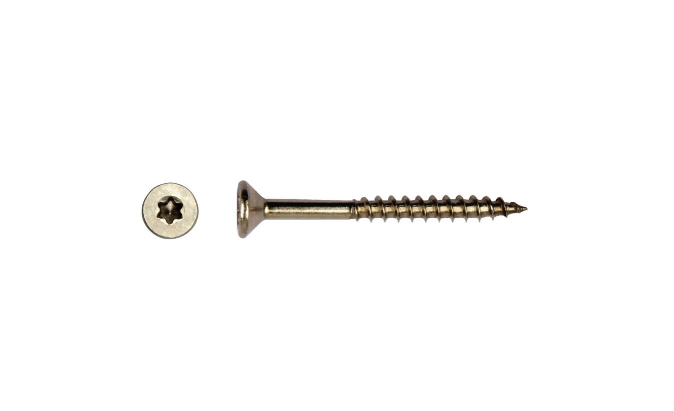 Schroeven RVS T-drive / Torx 5x70mm 100 stuks