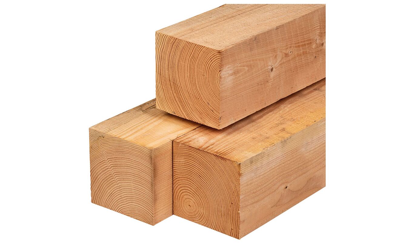 Tuinpaal lariks douglas 20x20x300cm