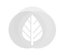 Noord-Zweeds vuren halfhouts rabatdelen 1.9x14.5cm zwart gespoten