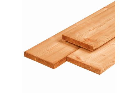 Tuinplank Red Class Wood 2-zijdig vellingkant 2.8x19.5x400cm