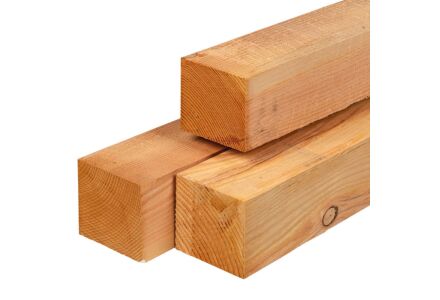 Tuinpaal lariks douglas 12x12cm