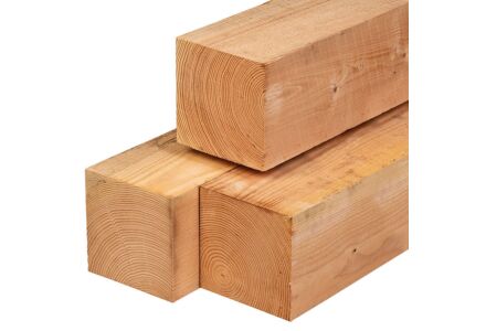 Tuinpaal lariks douglas 20x20x300cm