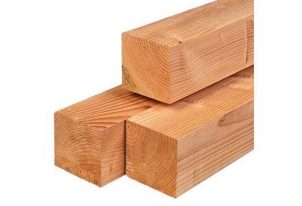 Tuinpaal lariks douglas 14x14x250cm