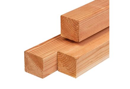 Tuinpaal lariks douglas 11x11x300cm