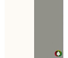 Selecteer Spuiten Sion combi 1