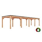 Douglas overkapping 1200 x 300 cm Leo